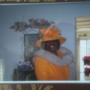 Meet your Posher, Dorothy